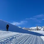 Naturgut Gailtal
