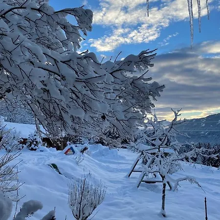 Naturgut Gailtal Zajazd