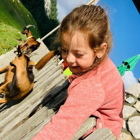 Zajazd Naturgut Gailtal