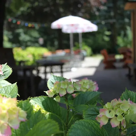 Naturgut Gailtal 宾馆