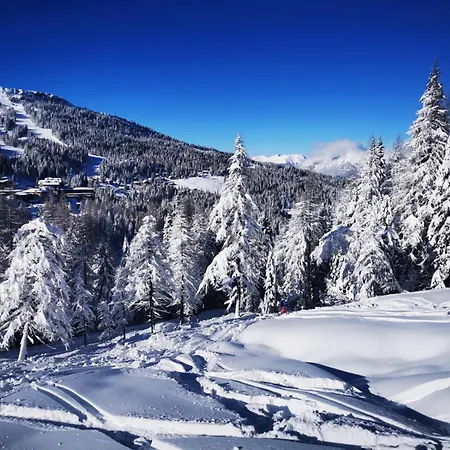 Naturgut Gailtal