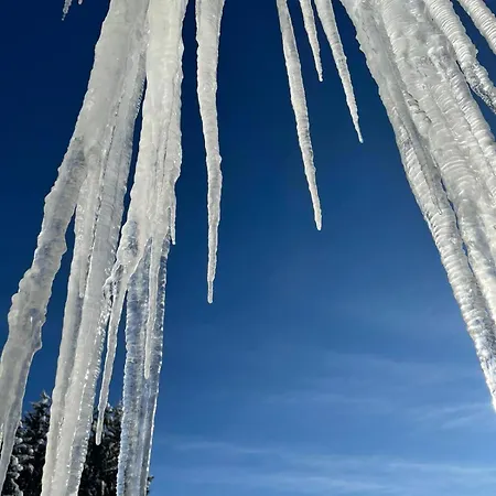 Naturgut Gailtal 宾馆 圣斯蒂凡安德