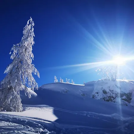 Zajazd Naturgut Gailtal 3*