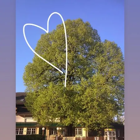 Naturgut Gailtal 圣斯蒂凡安德