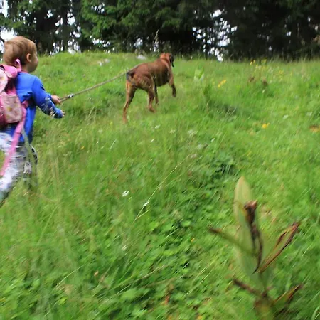 Zajazd Naturgut Gailtal Sankt Stefan an der Gail