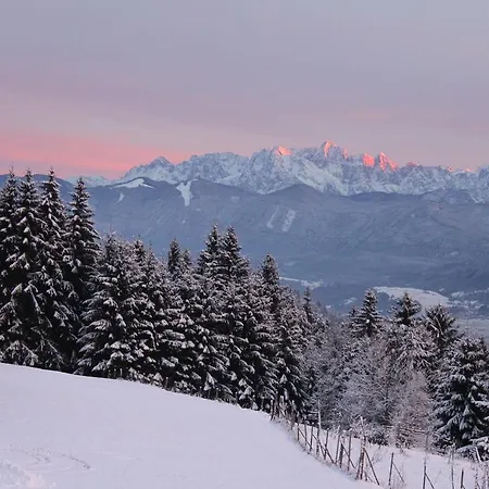 Мини-отель Naturgut Gailtal 3*