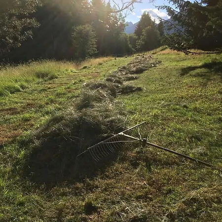Naturgut Gailtal 3* Sankt Stefan an der Gail
