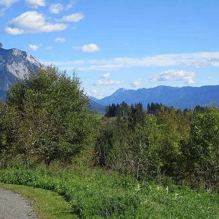 Naturgut Gailtal