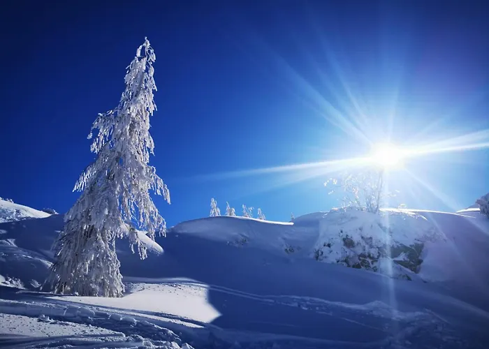 Gasthof Naturgut Gailtal 3*