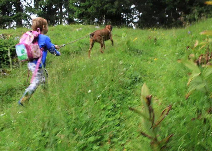 Locanda Naturgut Gailtal Sankt Stefan an der Gail