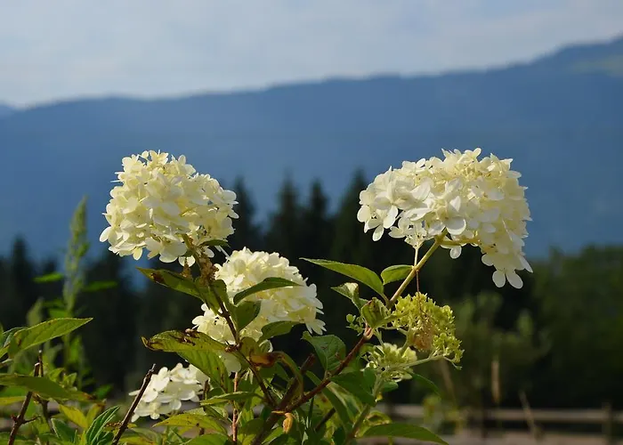 Naturgut Gailtal Sankt Stefan an der Gail