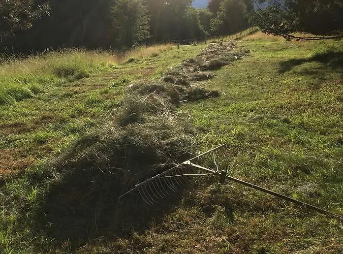 Naturgut Gailtal 3* Sankt Stefan an der Gail